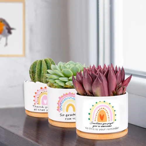 Miniatura 5 de SAIWEILAI - Juego de 9 macetas de cerámica para suculentas con bandejas de bambú, macetas redondas pintadas para decoración de escritorio