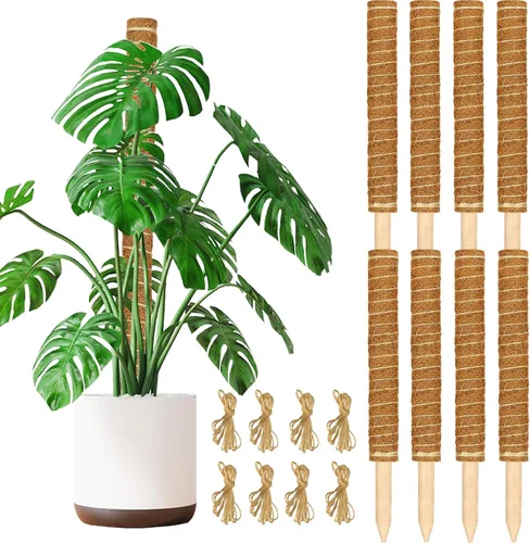 Miniatura 8 de JJGoo Poste de musgo para plantas Monstera, paquete de 2 postes de soporte para plantas de 23.6 pulgadas, poste de tótem de fibra de coco extensible