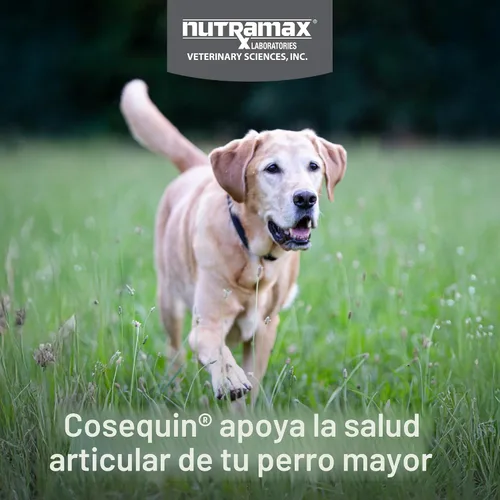 Miniatura 3 de Nutramax Cosequin para perros mayores - Suplemento para la salud de las articulaciones, contiene glucosamina, condroitina, MSM, Omega-3