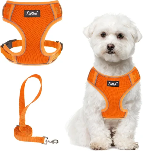 Miniatura 12 de PUPTECK Juego de arnés y correa para perro pequeño, arnés ajustable sin tirones para cachorro, chaleco de malla suave reflectante para mascotas