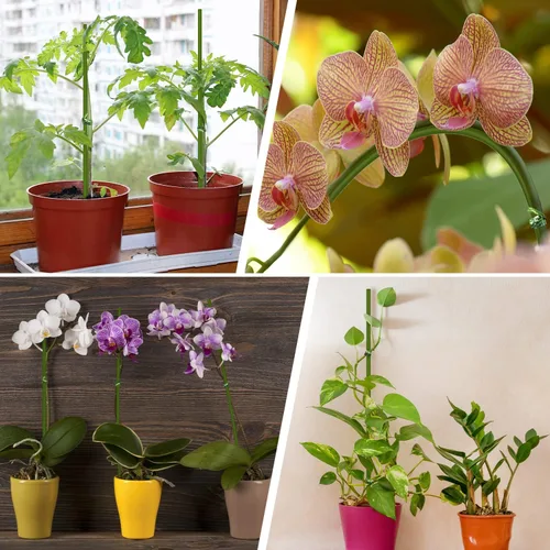 Miniatura 6 de 20 estacas para plantas, palitos para plantas, verde jardín flexible de un solo tallo para plantas de interior y exterior, plantas en maceta, Marrón