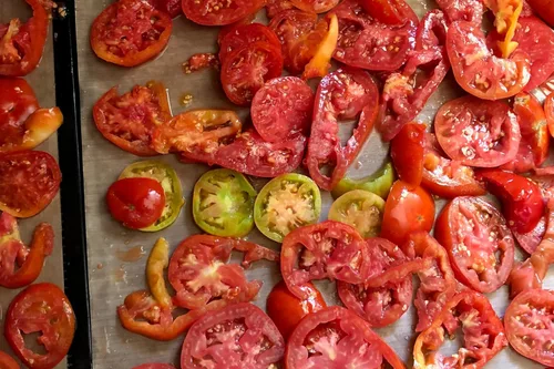 Miniatura 5 de Plant Good Seed Semillas de tomate orgánicas Sasha's Altai – Paquete de 50, semillas tradicionales para plantar verduras – Suministros