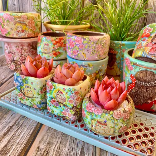 Miniatura 9 de Echeveria - Kit de suculentas de vino tinto y champán, con maceta de plástico, 1 cabeza de planta viva de 2 pulgadas, suelo comprimido y guía