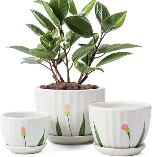 Miniatura 11 de STHIE - Macetas de cerámica con orificios de drenaje y platillos, macetas redondas azules para plantas de interior, diámetro 3.3/4.3/5.5 pulgadas, 1