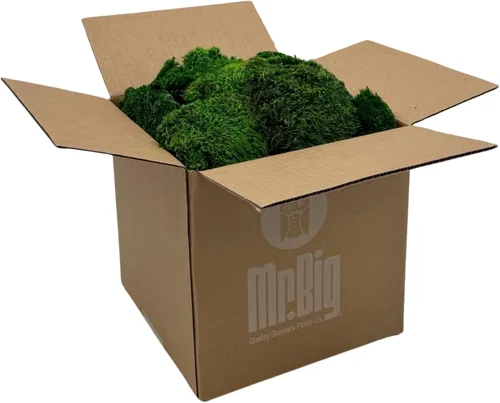 Miniatura 9 de Musgo de hoja preservado - Musgo decorativo natural - Musgo seco para manualidades, decoración del hogar, proyectos de arte, diseño y bricolaje - No