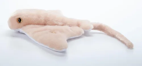Miniatura 9 de The Petting Zoo Cownose Ray - Peluche de peluche, regalos para niños, animales marinos Wild Onez, juguete de peluche de rayas de 24 pulgadas