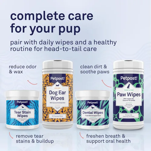 Miniatura 9 de Petpost Champú de argán para perros. Champú para perros con aceite de argán y aloe. Hidrata la piel seca, suaviza el pelaje, restaura el brillo. 8