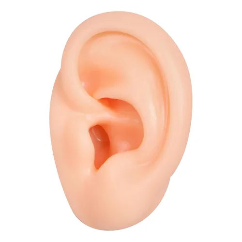 Miniatura 13 de Modelo de cejas de silicona, modelo de piezas del cuerpo de práctica de piercing, modelo de exhibición de cejas para práctica de piercing