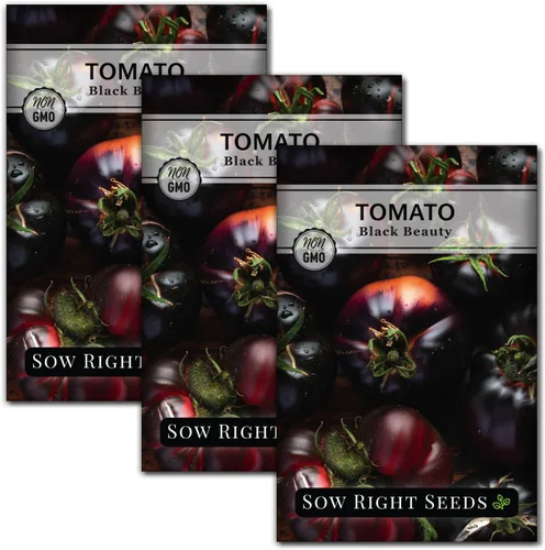 Miniatura 8 de Sow Right Seeds - Semillas de tomate Black Beauty para plantar - Paquete de reliquia sin OMG con instrucciones para plantar un huerto en el hogar al