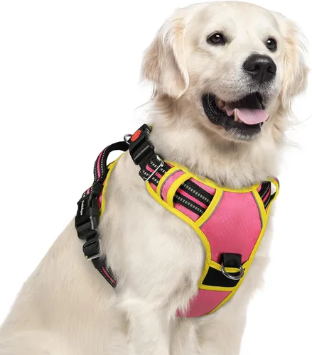 Miniatura 27 de rabbitgoo Arnés para perro de tamaño pequeño, chaleco para perro sin tirones con 3 hebillas, arnés ajustable y acolchado suave para mascotas con asa