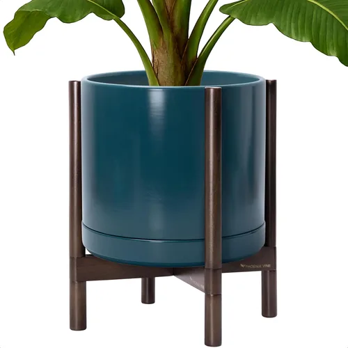 Miniatura 40 de D'vine Dev Maceta de cerámica con soporte de ébano – Maceta redonda moderna de 8 pulgadas con soporte para maceta de madera, color negro, 55-B-M-2
