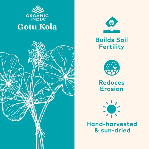 Miniatura 2 de Cápsulas de Gotu Kola de Organic India (90 cápsulas)