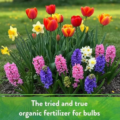 Miniatura 6 de Down To Earth All Natural Fertilizers Harina de huesos orgánica - Alimento vegetal con alto contenido de fósforo para brotes, bulbos, flores, flores