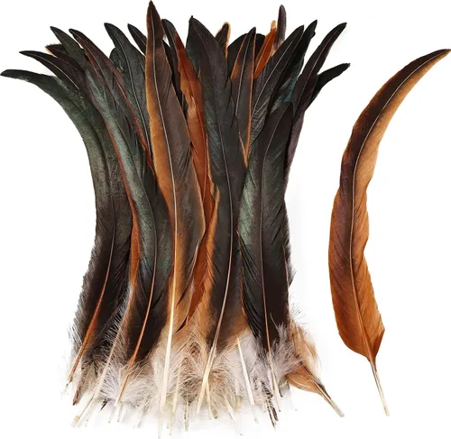 Miniatura 17 de iHUFeather Plumas de cola de gallo naturales, 50 plumas de cola de gallo de 10 a 12 pulgadas de largo, a granel para manualidades, disfraces