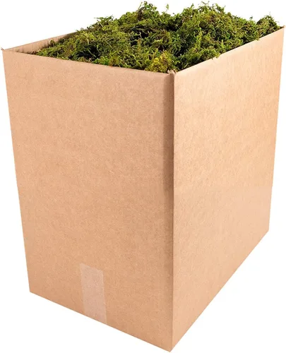 Miniatura 9 de SuperMoss Musgo forestal preservado perfecto para plantas de interior, manualidades y decoración, verde fresco, 4 onzas