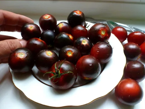 Miniatura 3 de 50+ Semillas de Tomate Cherry - Negro Vegetal