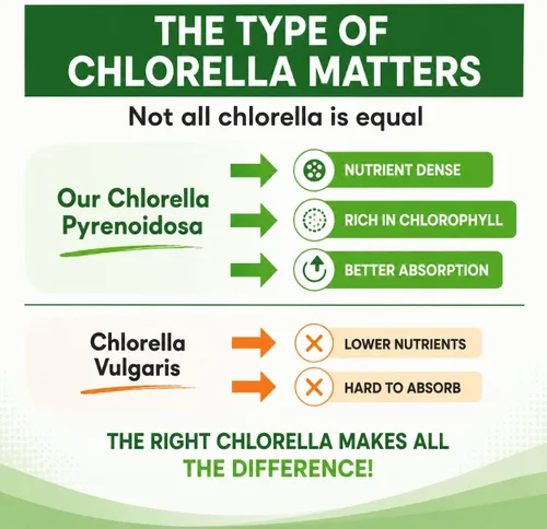 Miniatura 7 de Chlorella Cápsulas 3000 mg – Pared celular agrietada suplemento de algas verdes azules – La mejor limpieza natural de desintoxicación – Vitaminas