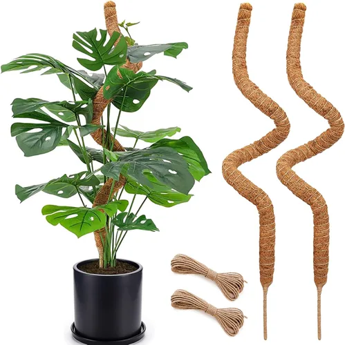 Miniatura 16 de Poste de musgo de 48 pulgadas, poste de musgo flexible para plantas Monstera, postes de musgo altos para plantas trepadoras de interiores, soporte