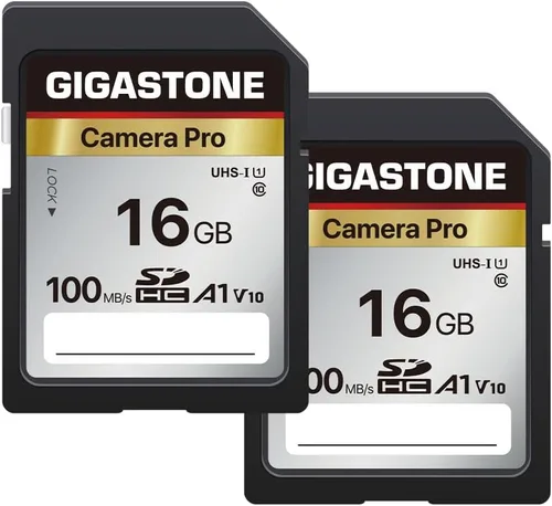 Miniatura 11 de Recuperación de datos de 5 años: tarjeta SD GIGASTONE de 256 GB, cámara 4K Pro, tarjeta de memoria A1 V30 SDXC 4K UHD Video compatible con cámara