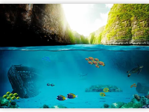 Miniatura 14 de artgeist Mural de pared premium mundo submarino, 98 x 69 pulgadas, papel tapiz no tejido XXL, decoración de pared de vellón, impresión fotográfica