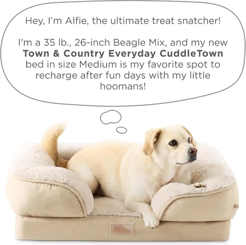 Miniatura 9 de Town & Country Everyday CuddleTown Cómoda Cama Sofá para Mascotas con Refuerzo Sólido, Espuma Tipo Caja de Huevos de Apoyo y Calmante, Base Gris