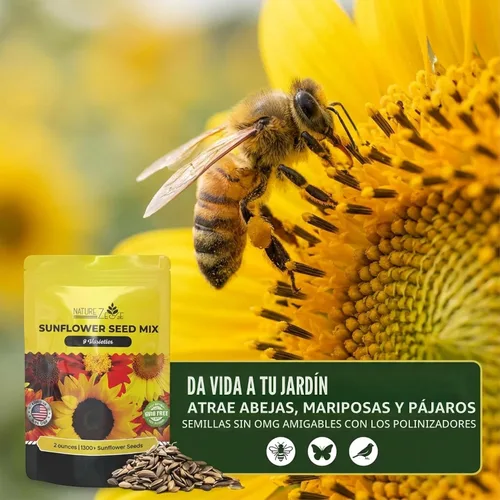 Miniatura 4 de NatureZ Edge 1300+ Semillas de Girasol Paquete de Variedad de Jardín, Semillas de Girasol a Granel para Plantar Flores, Obtén Más Semillas