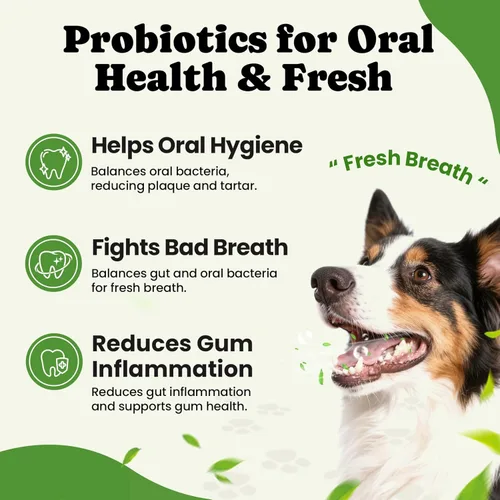 Miniatura 5 de Probióticos para perros – Salud digestiva e intestinal para estómagos sensibles, probióticos para perros en polvo para piel y pelaje, aliento e