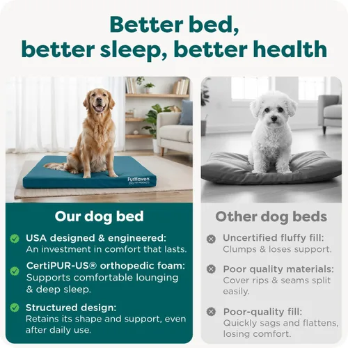 Miniatura 7 de Furhaven Cama ortopédica resistente al agua para perros grandes con funda extraíble lavable, para perros de hasta 95 libras – Colchón de lona Oxford