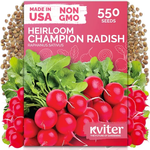 Miniatura 26 de KVITER 325 semillas de tomates gigantes (Solanum lycopersicum) – Filete de ternera paquetes de semillas de tomate – Tomates tradicionales – Semillas