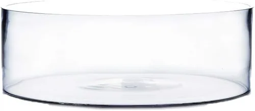 Miniatura 10 de WGV - Jarrón cilíndrico, ancho abierto de 8 pulgadas, altura de 4 pulgadas, recipiente transparente estilo sartén plana, terrario para maceta