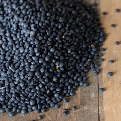 Semillas de lentejas negras orgánicas, 1 libra ~ 9600 semillas, reliquia, jardín de verduras sin OMG y germinación, lentejas indias