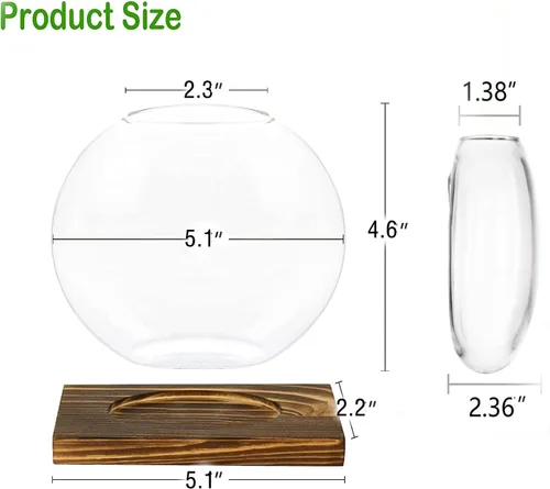 Miniatura 4 de Kingbuy Maceta redonda de vidrio con soporte de madera, florero de propagación para plantas hidropónicas, plantas de araña, potos en decoración