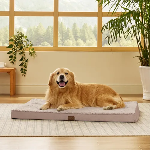 Miniatura 31 de Bedsure Camas para Perros Tamaño Grande - Cómodas Camas Planas para Mascotas con Funda Lavable Extraíble, Alfombrilla de Espuma Ortopédica