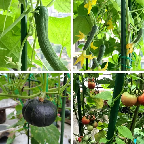 Miniatura 6 de NANOPRETTY Estacas de jardín de 6 pies para soporte de plantas al aire libre, varillas de metal de 0.78 pulgadas de diámetro, postes de metal