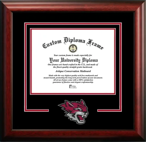 Miniatura 109 de Marco de Diploma Spirit NCAA
