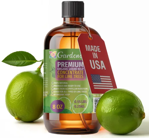 Miniatura 17 de GARDENERA Superalimento orgánico prémium de algas marinas y algas marinas para plantas AGLAONEMA, 8 onzas, concentrado de fertilizante líquido