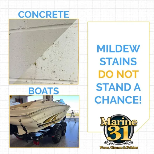 Miniatura 6 de Marine 31 Removedor de manchas y limpiador de moho Limpiador multisuperficie para barcos, marina, baño y patio Elimina el moho y las manchas