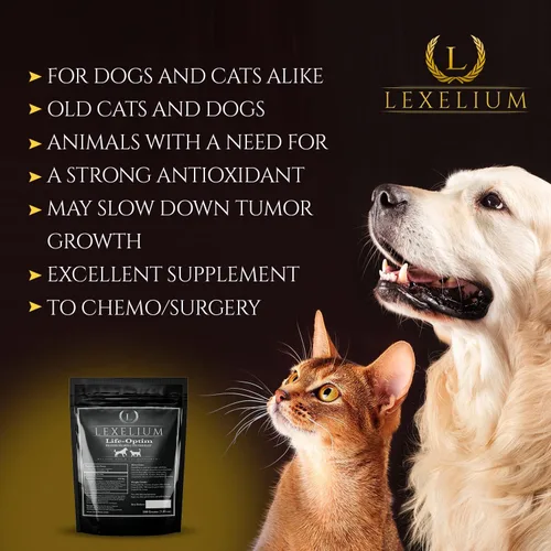 Miniatura 3 de Life-Optim - Mezcla de apoyo para enfermedades terminales para perros y gatos Suplemento en polvo 100% natural Diseñado para extender y mejorar
