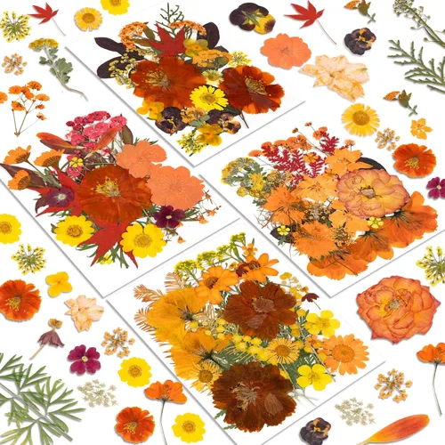 Miniatura 10 de Flores Secas, Resiners 58 Piezas Flores Prensadas para Manualidades Rosa Flores Secas Naturales Reales Kit de Hojas Secas para DIY Hacer