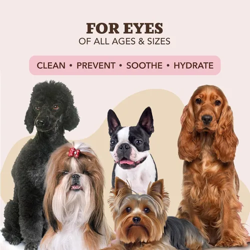 Miniatura 9 de Toallitas para Orejas de Perro Naturales (50 Unidades) Limpiador Higiénico para Orejas de Perro Infundido con Aceites Esenciales, Reduce el Olor