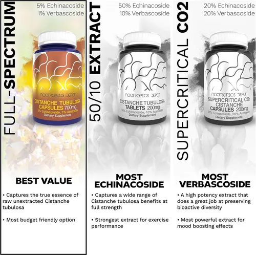Miniatura 5 de Nootropics Depot Cápsulas de Cistanche tubulosa 700 mg 5% equinacosido + 1% verbascósido (acetósido) 60