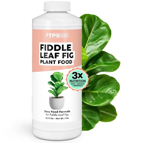 Miniatura 6 de Fiddle Leaf Fig Plant Food – Fertilizante líquido para hojas más grandes, raíces más fuertes y un nuevo crecimiento saludable, 8 onzas