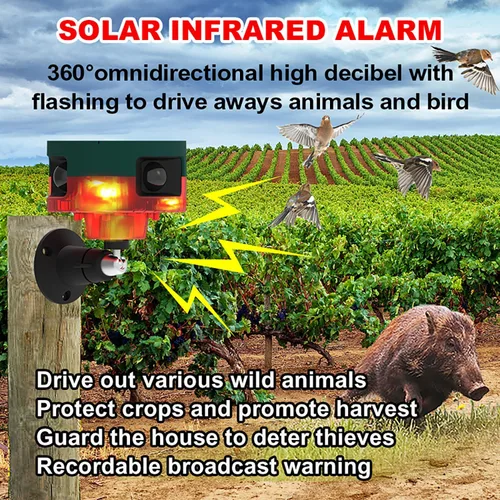 Miniatura 2 de Luces de alarma de seguridad con sensor solar para exteriores, detector de movimiento de 360°, luz estroboscópica intermitente, lámpara de Rojo 1