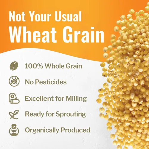 Miniatura 5 de Grand Teton Ancient Grains - Mijo blanco 100% orgánico Grano sin cáscara, sin gluten, sin cáscara para ensaladas, pilaf y sopas, grano entero