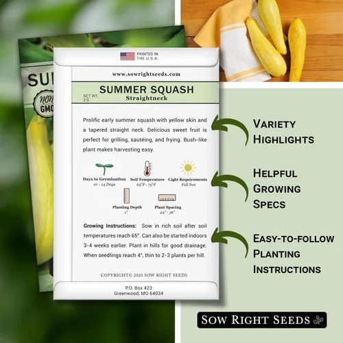 Miniatura 2 de Sow Right Seeds - Semillas de calabaza amarilla de cuello recto para plantar - Paquete de reliquia sin OMG con instrucciones para plantar un huerto