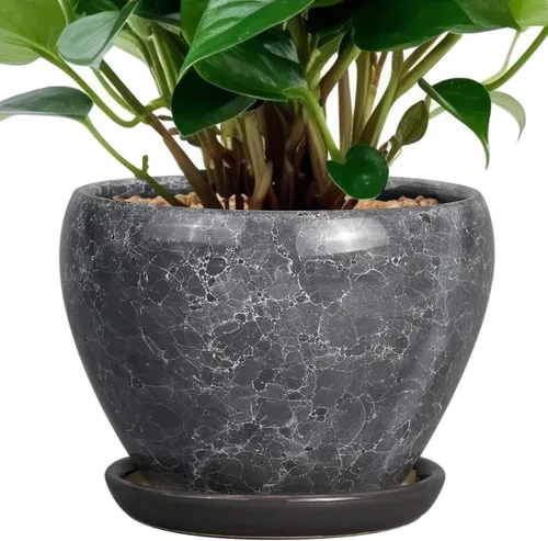 Miniatura 39 de Maceta de Cerámica Moderna con Esmalte para Suculentas con Agujero de Drenaje y Platillo, Maceta Redonda de 6 Pulgadas para Plantas de Flores
