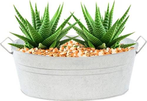 Miniatura 2 de Simple Elements - Bañera galvanizada para bebidas de 2.5 galones, cubo de hielo multifuncional, bañera de bebidas para fiestas, eventos y decoración