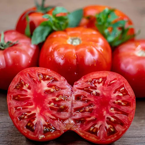 Miniatura 28 de Eden Brothers Semillas de tomate – Semillas de caqui sin OMG para plantar, paquete Semillas de vegetales de bajo mantenimiento, plantas durante