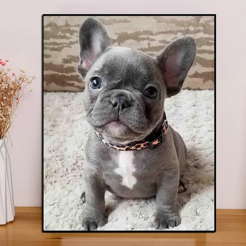 Miniatura 2 de QAZWSX Pintura de diamante redondo completo para adultos, diseño de perro Bulldog francés, bordado de cristal, manualidades por números, kit