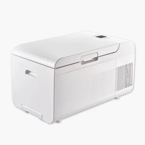 Miniatura 10 de Refrigerador portátil convertible de 0.7 pies cúbicos - Refrigerador compacto de 12 V/110 V para automóvil, RV, camping y viajes, refrigeración